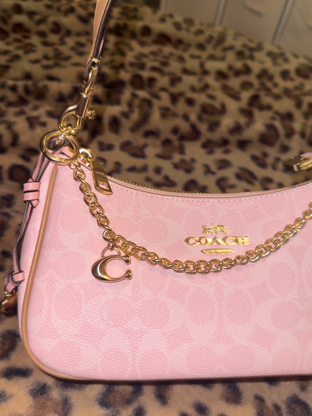 COACH Powder Pink Signature Chain Teri Shoulder Bag with Floral Charm - Picture 2 of 11